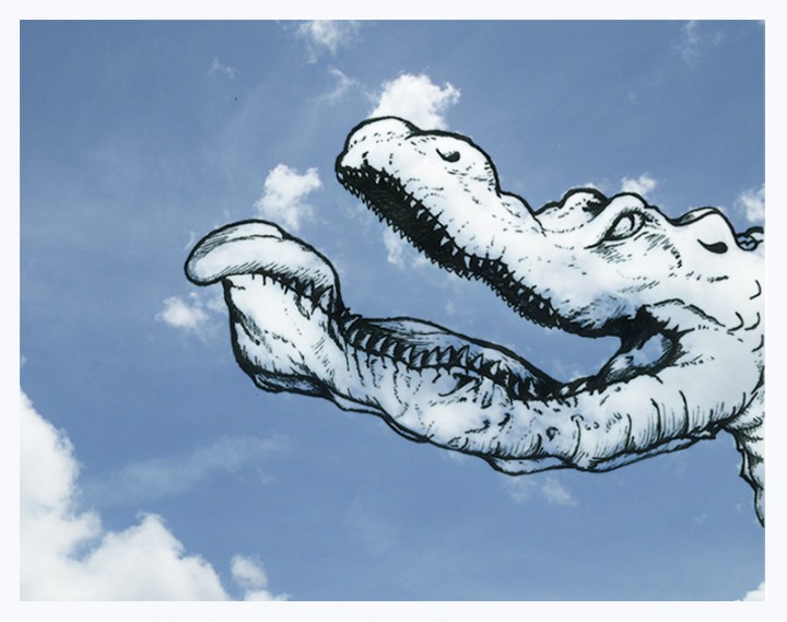 crocodile nuage