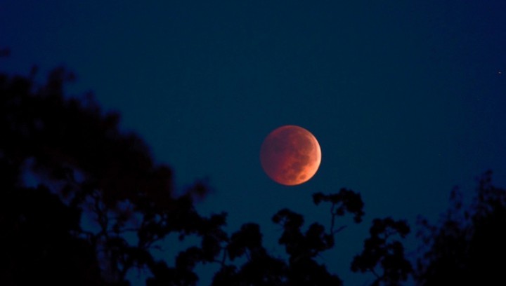 photo eclipse lune octobre 2014