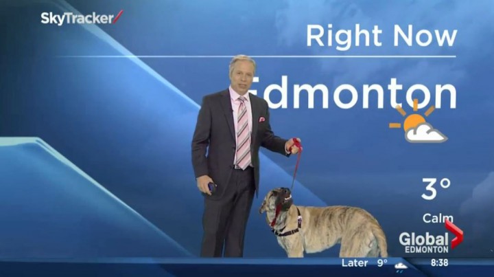 presenter bulletin meteo chien canada