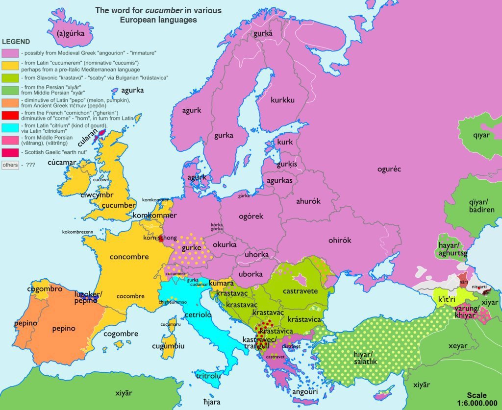 carte traduction mot concombre en europe