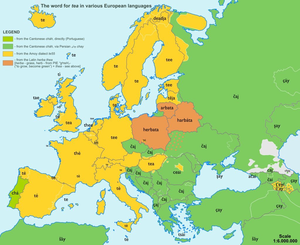 carte traduction mot the en europe