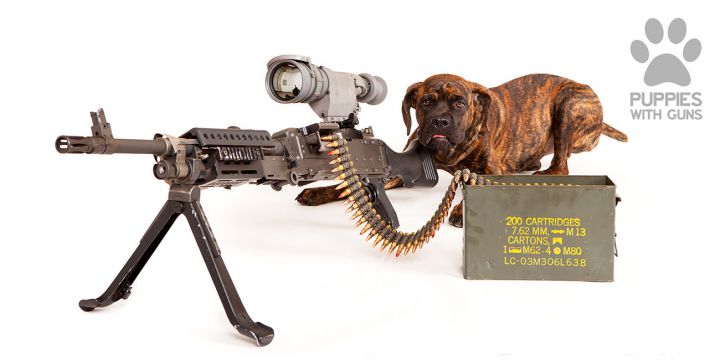 Puppies with guns caisse de munitions