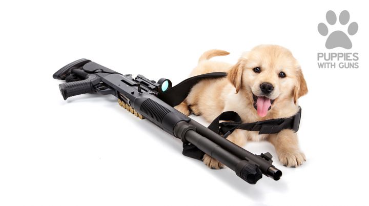 Puppies with guns fusil a pompe