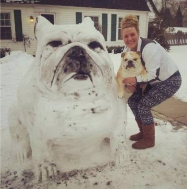 bonhomme de neige bulldog