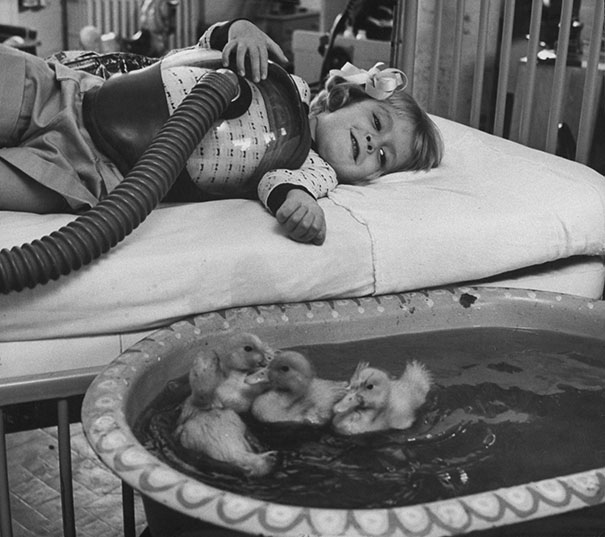 photos rares 20eme siecle Des animaux utilises pour une therapie medicale 1956