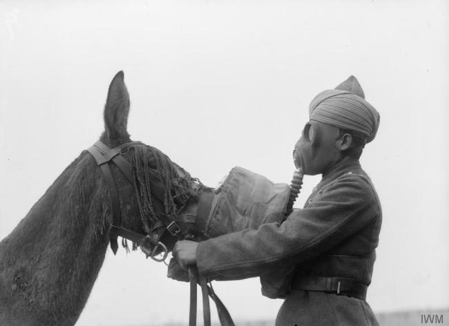 photos rares 20eme siecle Un homme place un masque gaz sur un cheval lors de la 2eme guerre mondiale