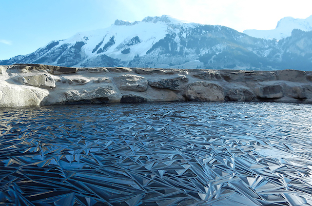 lac gele suisse Dartai