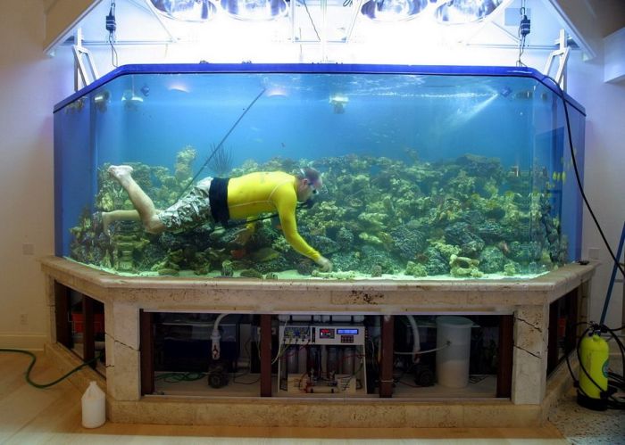 nettoyer un aquarium