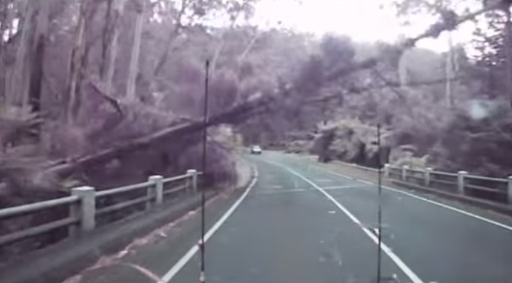 route australie tempete chute arbres