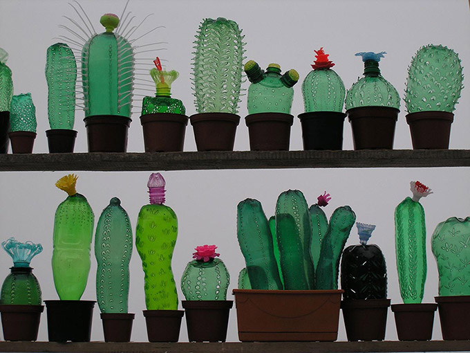 Veronika Richterova Cactus