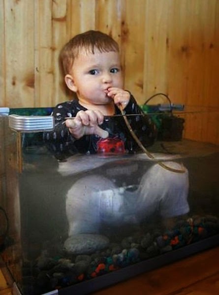 enfant aquarium
