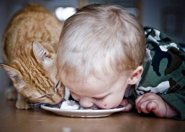 enfant chat assiette
