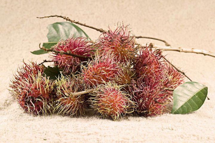 fruits exotiques ramboutan