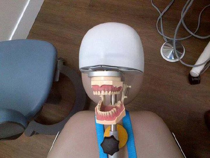modeles dentistes (11)