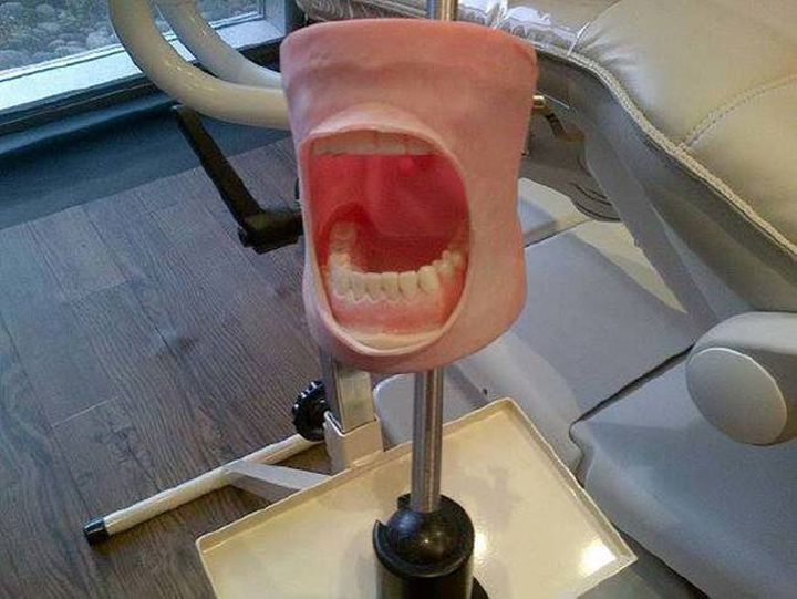 modeles dentistes (3)
