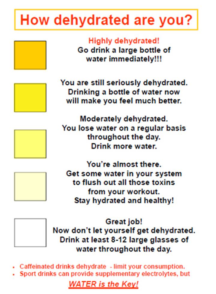 Conseils urine deshydratation