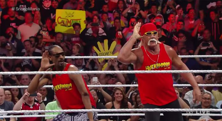 Snoop Dogg Catch Hulk Hogan