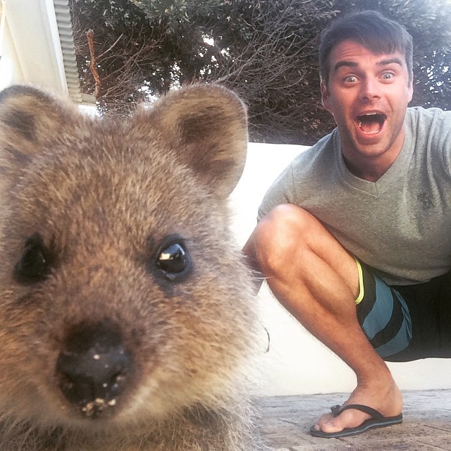 australie quokka selfie 5