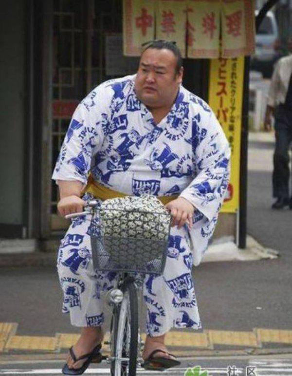 funny asian sumo