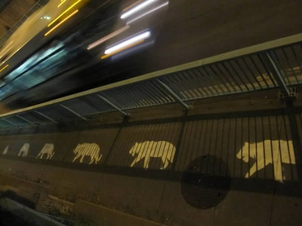 photo street art ombre roadsworth tigres
