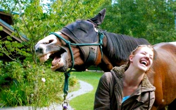 photo timing cheval
