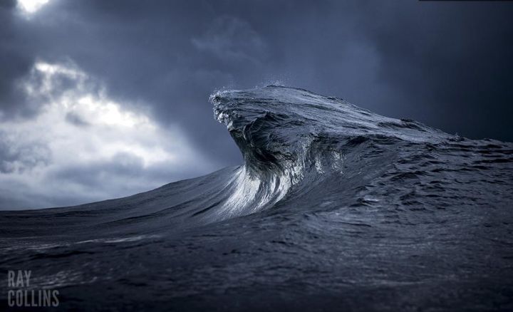 ray collins mont