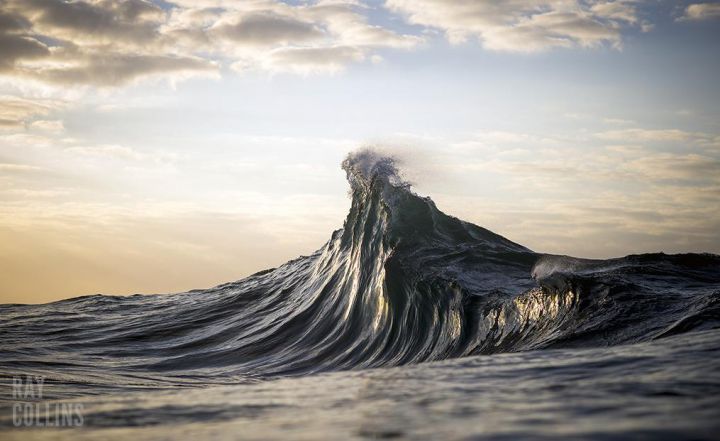 ray collins pic or