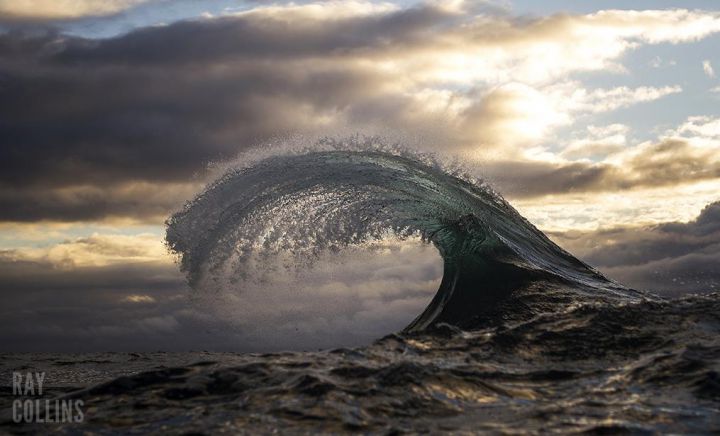 ray collins vague