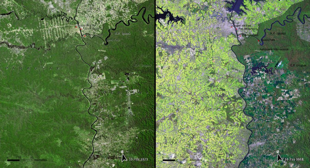 deforestation paraguay  avant apres 1973 2008
