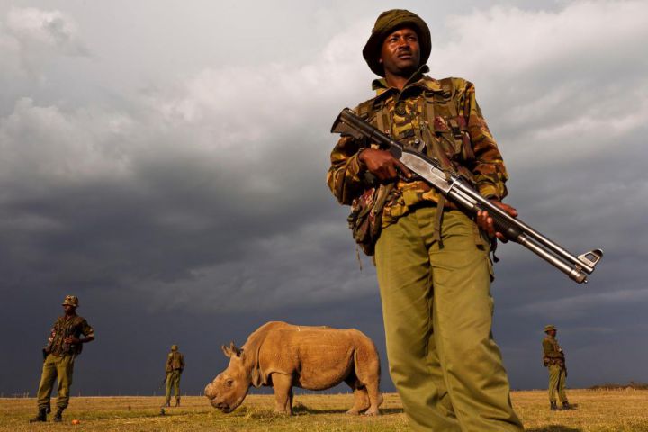 dernier rhino escorte armee