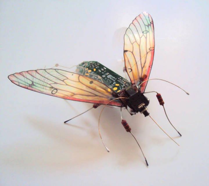 insectes composants informatiques (6)