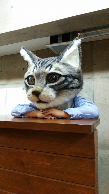masque de chat wool school japon