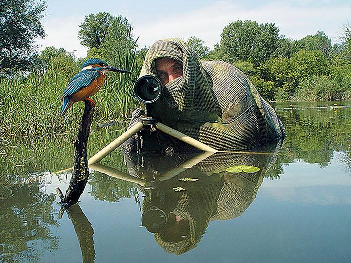 photo photographe guerre pret a tout oiseau