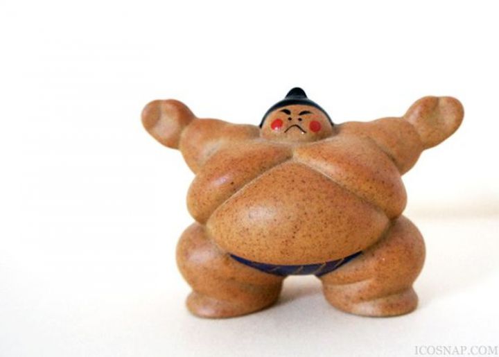 photo souvenir sumo japon