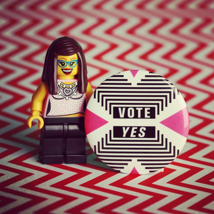 Lego vote mariage homosexuel Irlande (19)