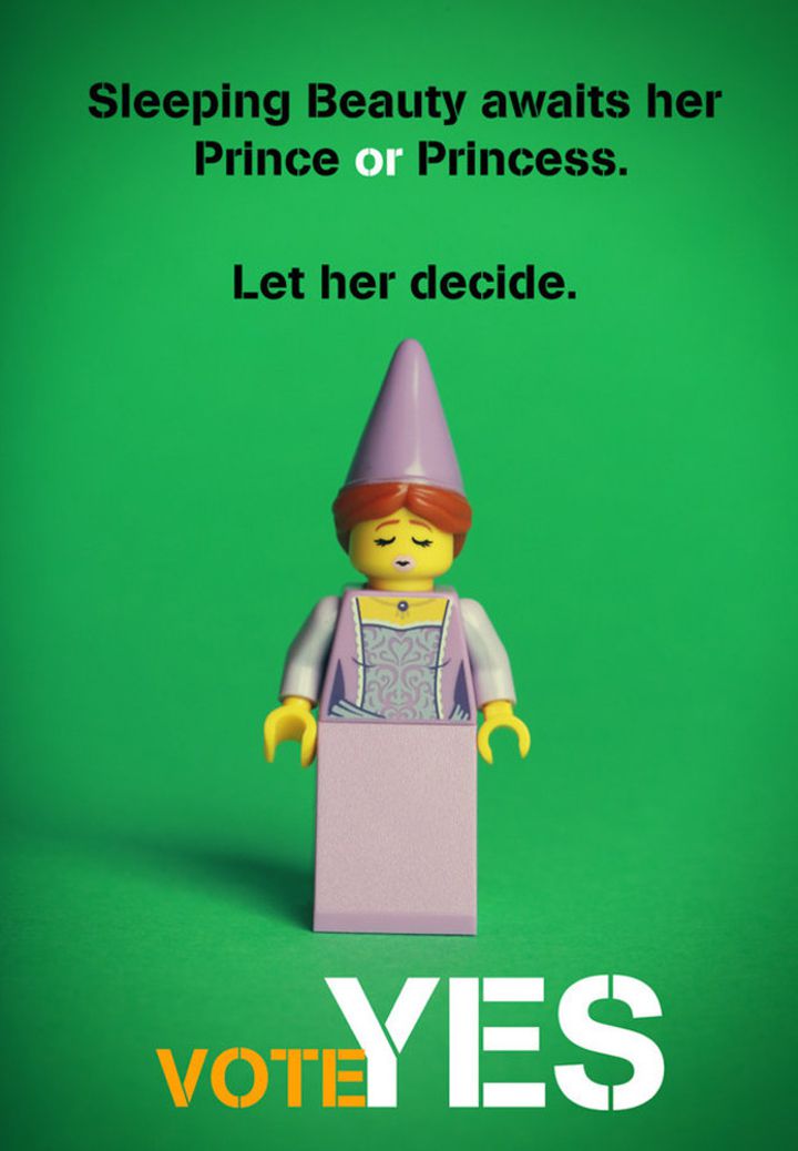 Lego vote mariage homosexuel Irlande (5)