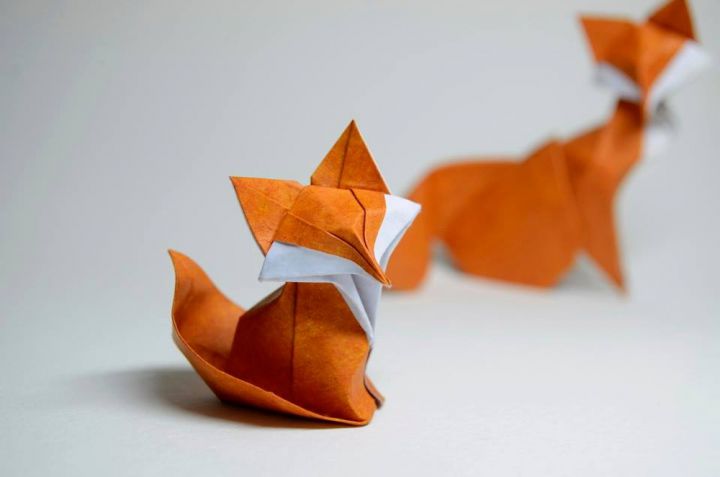 Origami Hoang Tien Quyet (5)