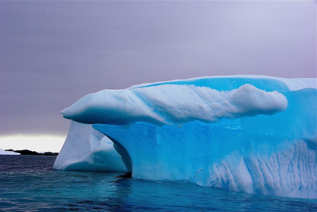 photo antarctique infos insolites