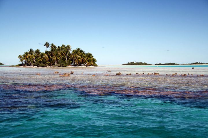 Rangiroa Polynesie