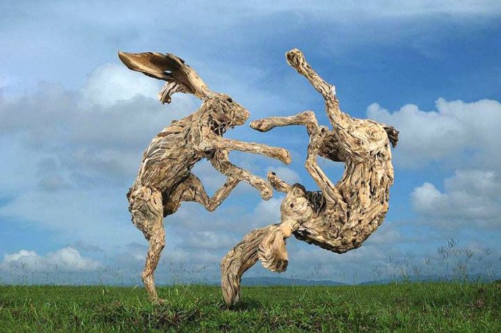 Sculptures animaux bois James Doran Webb (9)