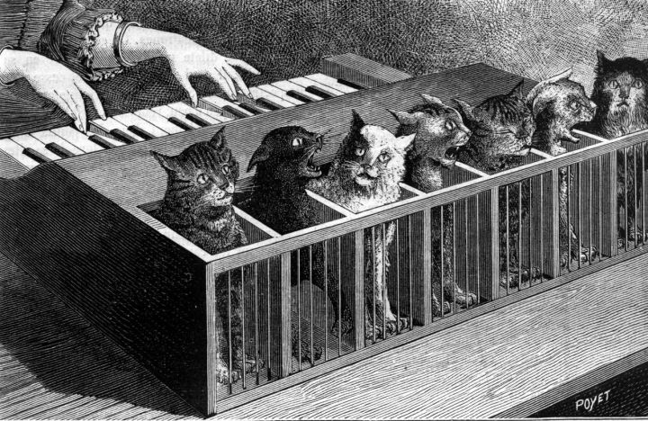 katzenklavier piano chats