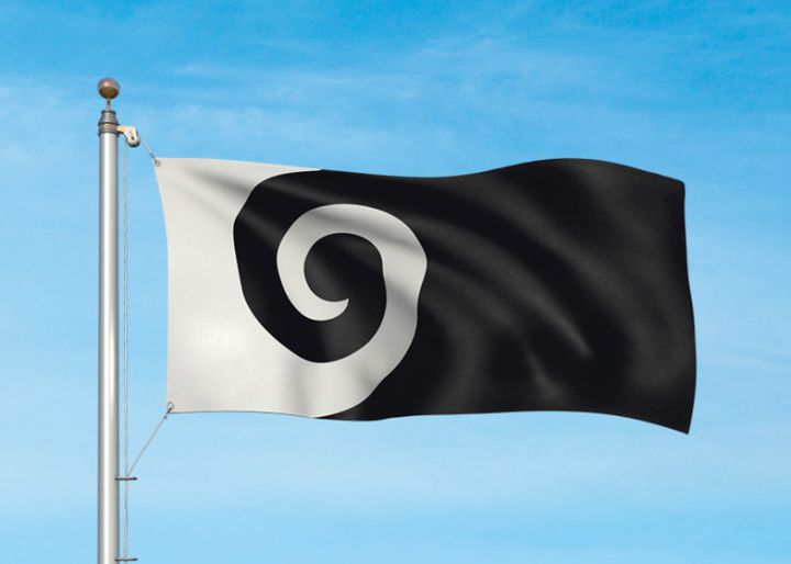 nouveau drapeau nouvelle zelande choix 4