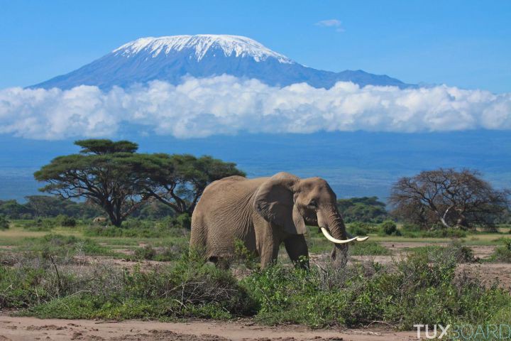 25 histoire insolites briller societe mont kilimandjaro cotopaxi enneiges