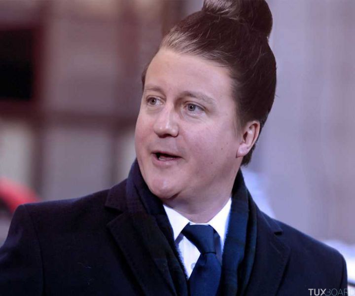 Chignon David Cameron