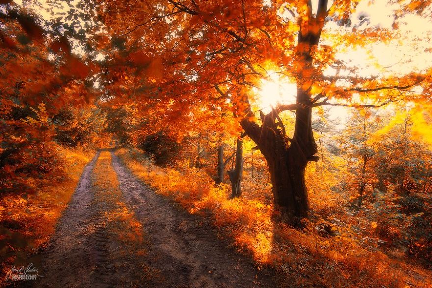 photo beaute automne couleurs 2