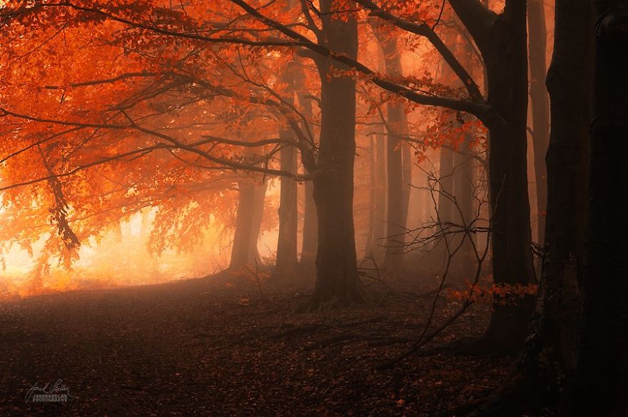 photo beaute automne crepuscule