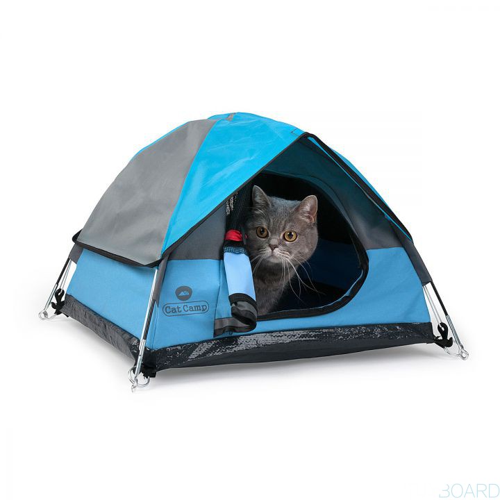 tente chat cat camp