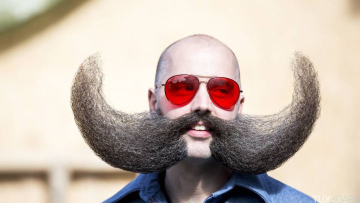national beard championship championnats barbe moustache 2015 new york 1