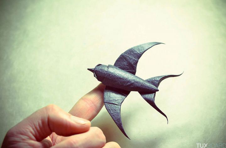 origami gonzalo garcia calvo (11)