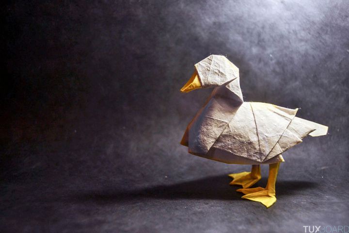 origami gonzalo garcia calvo (13)